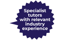 Specialist tutors with relevant industry experience